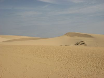 Picture_714.jpg