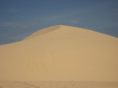 Picture_717.jpg