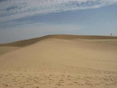 Picture_722.jpg