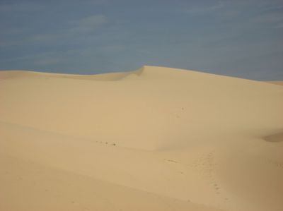 Picture_730.jpg