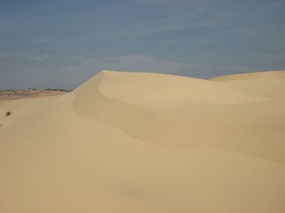 Picture_731.jpg