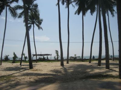 Picture_742.jpg