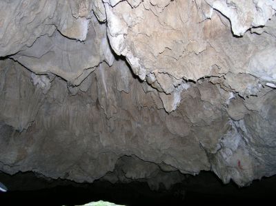 P1010262.JPG