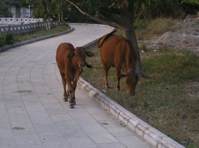 P1010303.JPG