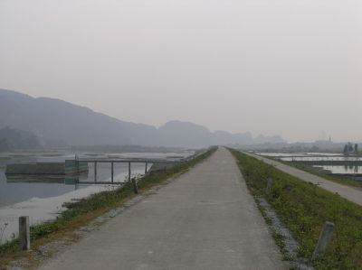 PC050310.JPG