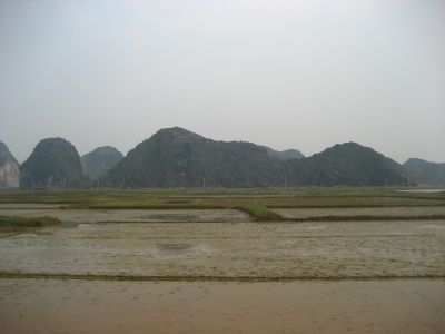 Picture_560.jpg