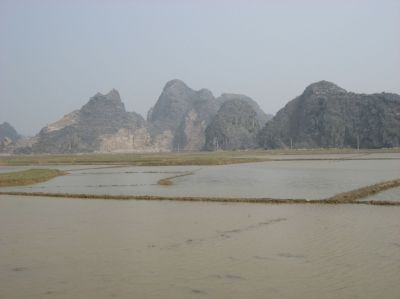 Picture_575.jpg