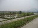Picture_527.jpg