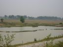 Picture_540.jpg