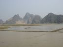 Picture_575.jpg