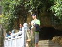 Picture_599.jpg