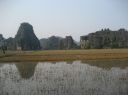 Picture_645.jpg