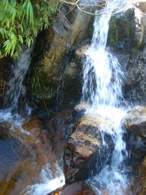 Picture_474.jpg